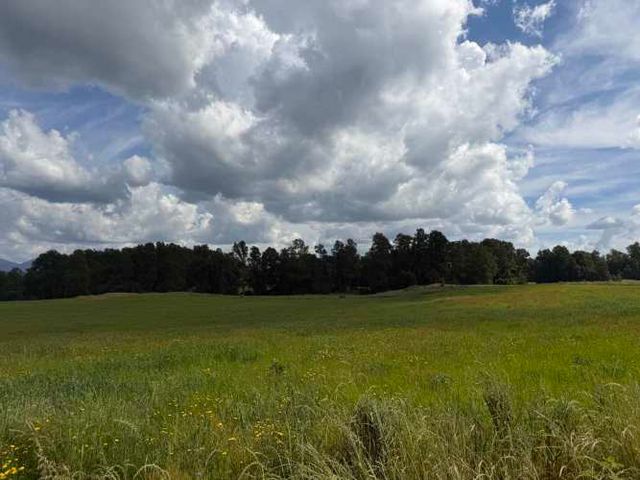 Verde Horizonte , Lanzamiento, Parcelas Agricolas