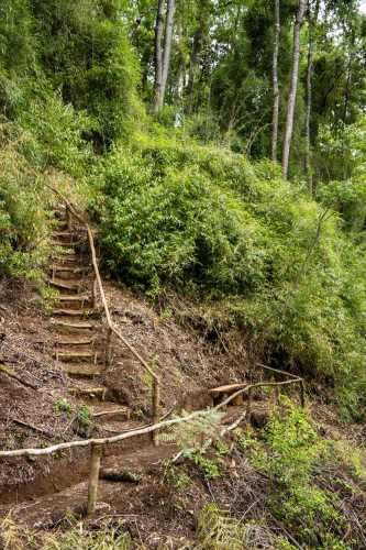 Verde Horizonte , Lanzamiento, Parcelas Agricolas