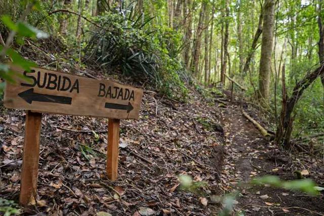 Verde Horizonte , Lanzamiento, Parcelas Agricolas