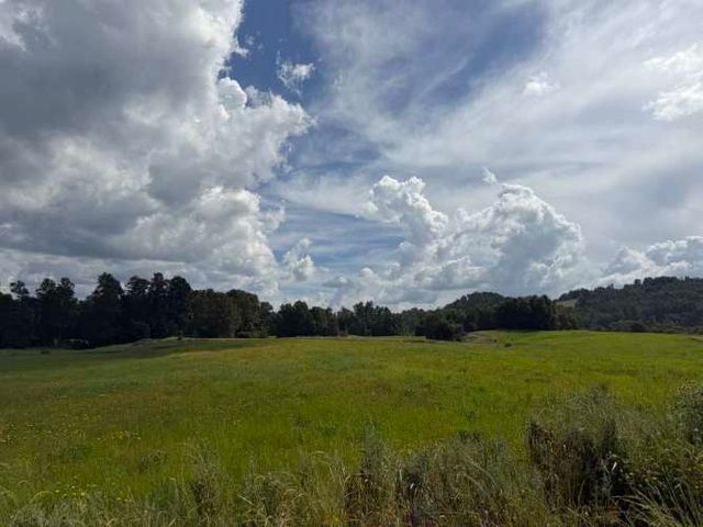 Verde Horizonte , Lanzamiento, Parcelas Agricolas