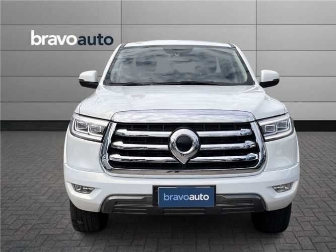 GREAT WALL POER 2023