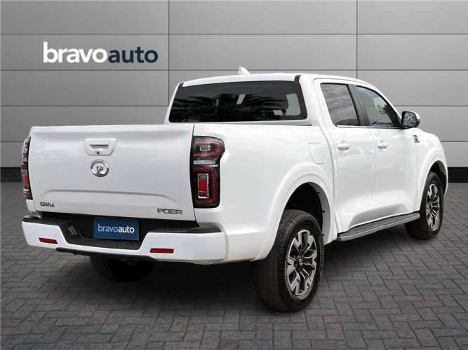 GREAT WALL POER 2023