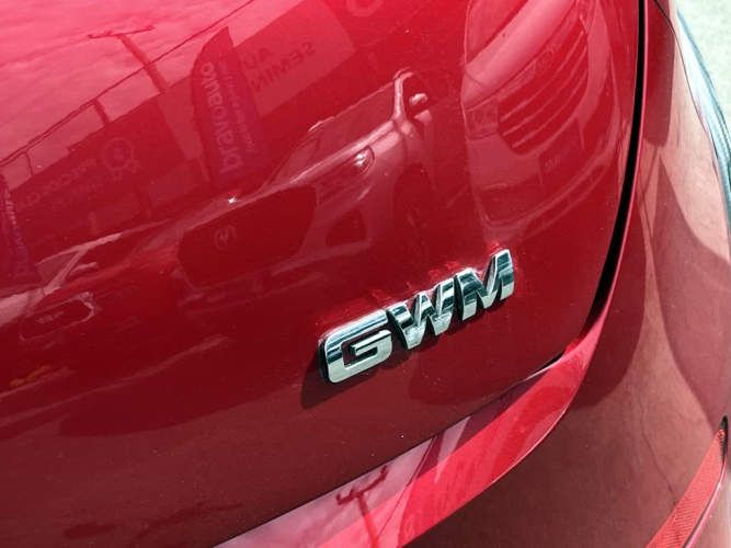 GREAT WALL ORA 03 2025