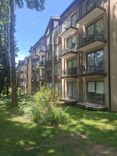 DEPARTAMENTO Camino al volcan