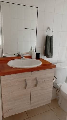 DEPARTAMENTO Camino al volcan