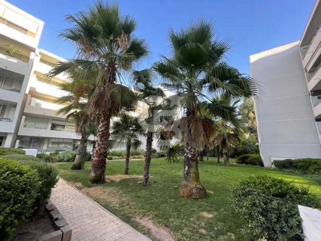 Luminoso Departamento en Plaza Egaña