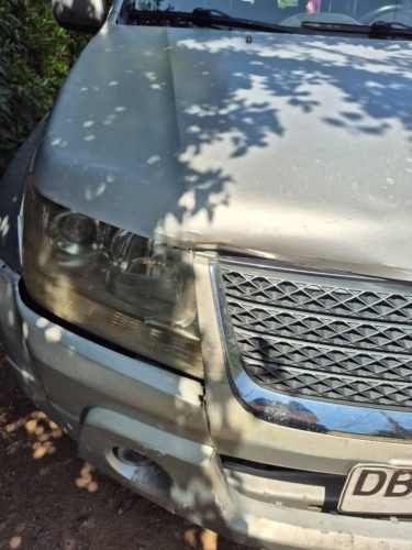 Suzuki Grand Nomade 2011