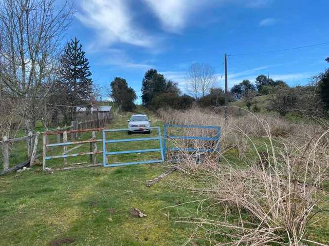 Lindo campo en comuna de Maullin