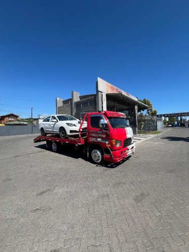 Chofer grúa plataforma