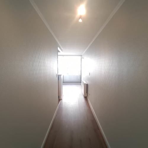 Tocornal 455 [125-1]