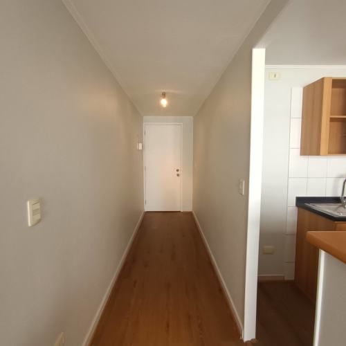 Tocornal 455 [125-1]