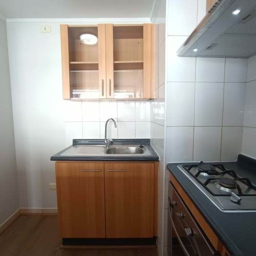 Tocornal 455 [125-1]