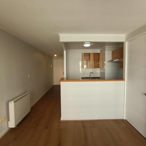 Tocornal 455 [125-1]