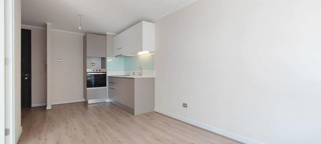 Argomedo 350 [1240-1]