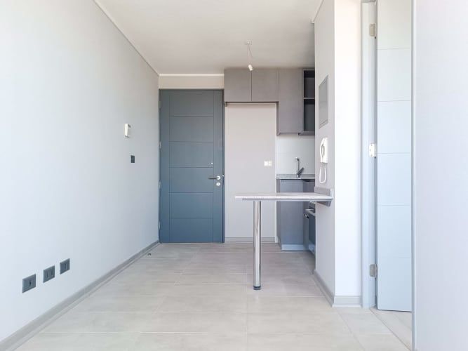 Av. Fermín Vivaceta  [2465-1]