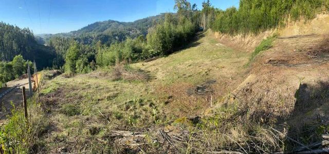 VENTA TERRENO NONGUEN - SECTOR URBANO.