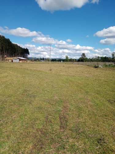 Venta Terreno 1 hectaria san jose de la mariquina