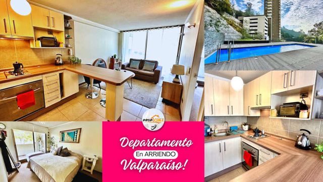 ARRIENDO Departamento Valparaíso (135056)