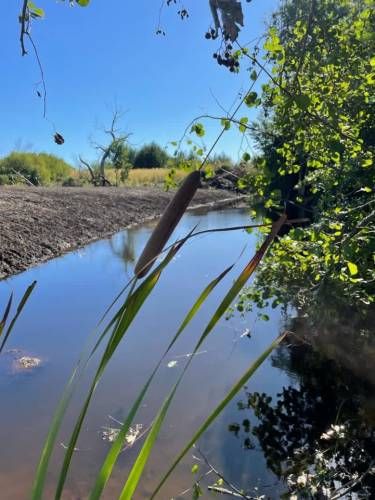 ¡Inversión Perfecta en Los Ángeles, Cerca de Salto