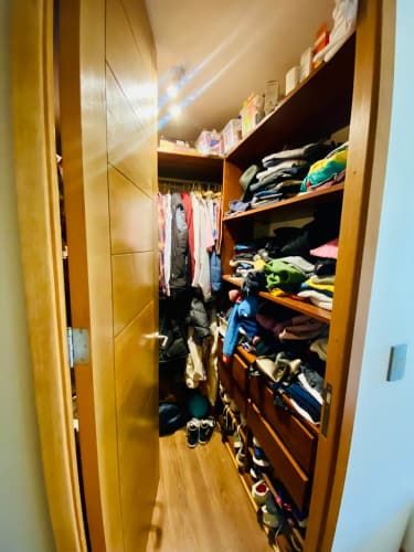 CONECTIVIDAD A SANTIAGO AUTOPISTA NOR-ORIENTE, A LA DEHESA POR PIE ANDINO