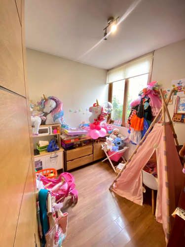 CONECTIVIDAD A SANTIAGO AUTOPISTA NOR-ORIENTE, A LA DEHESA POR PIE ANDINO