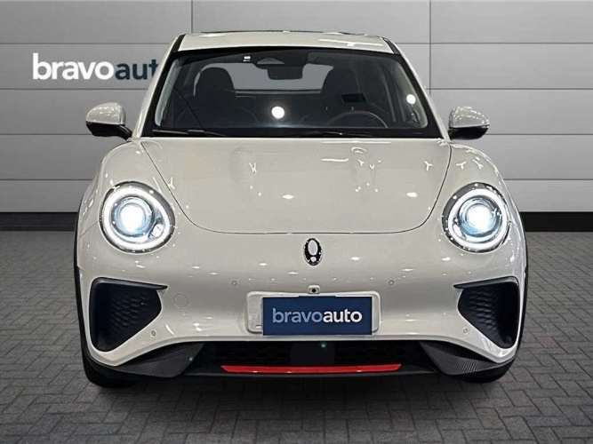 GREAT WALL ORA 03 2025