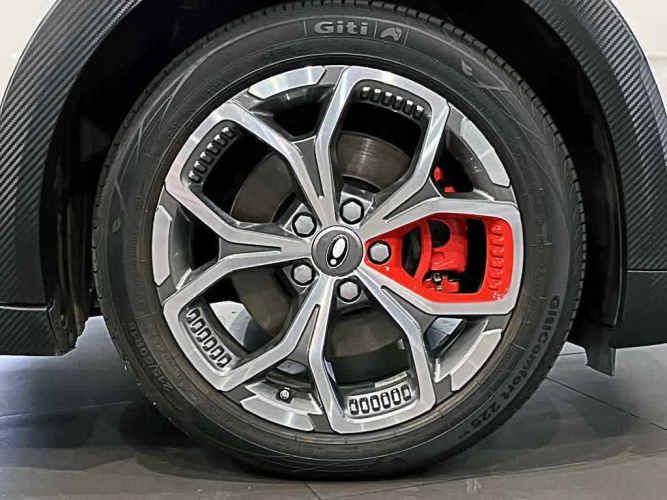 GREAT WALL ORA 03 2025