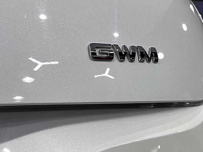 GREAT WALL ORA 03 2025