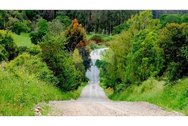 Proyecto  parcelas  los cerezos