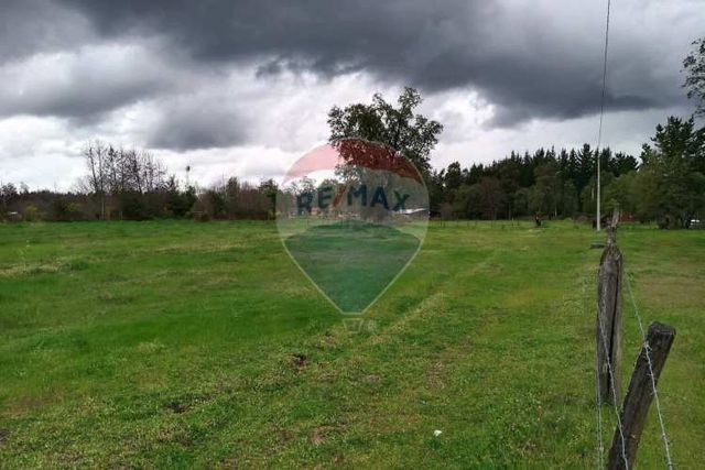 Parcela de ensueño en cabrero, biobío