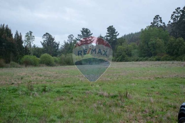 Proyecto centinela, parcelas, región de los ríos