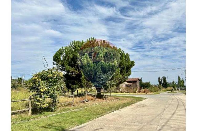 Parcelas urbanizadas en venta en olivar.