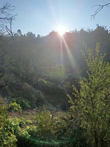 PARCELA Cuesta Zapata