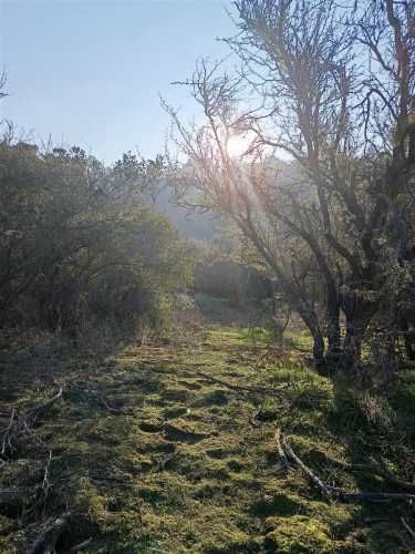 PARCELA Cuesta Zapata