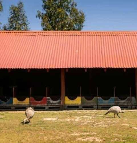 PARCELA PARCELA SANTA INÉS