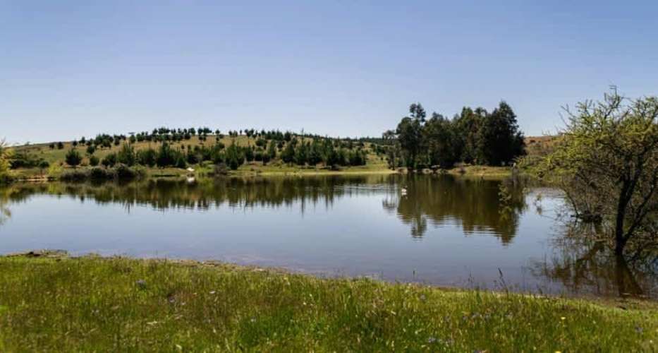 PARCELA PARCELA SANTA INÉS