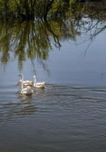 PARCELA PARCELA SANTA INÉS