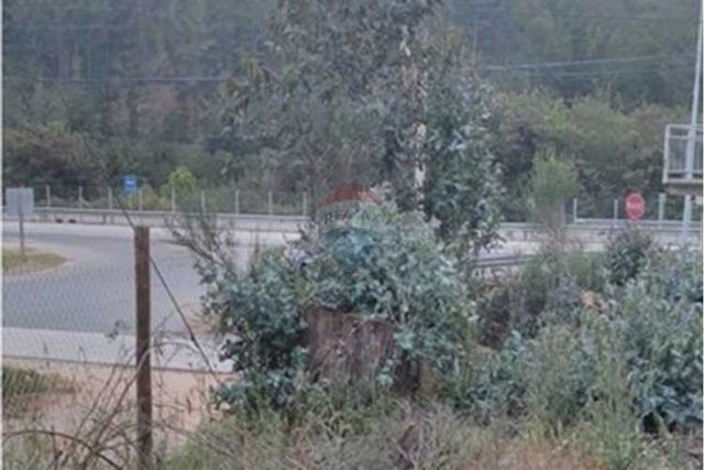 "se arrienda gran parcela  casablanca ² "