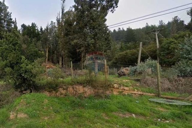 "se arrienda gran parcela  casablanca ² "