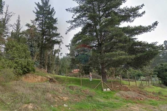 "se arrienda gran parcela  casablanca ² "