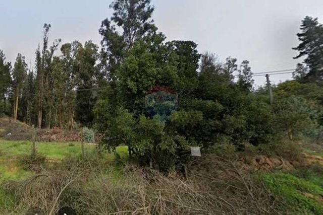 "se arrienda gran parcela  casablanca ² "