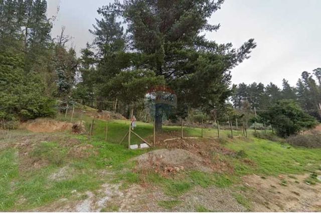 "se arrienda gran parcela  casablanca ² "