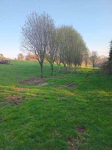 Se vende parcela de 6,51 hectáreas con casa urbanizada