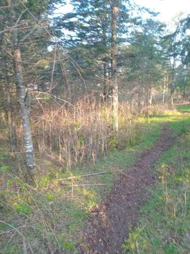 Se vende parcela de 6,51 hectáreas con casa urbanizada