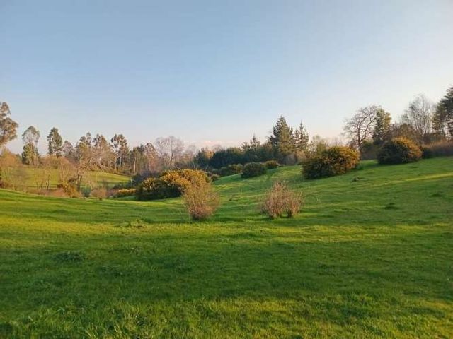 Se vende parcela de 6,51 hectáreas con casa urbanizada