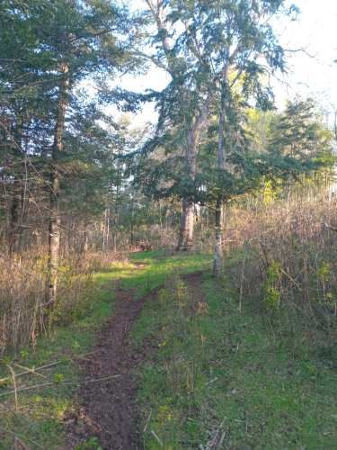 Se vende parcela de 6,51 hectáreas con casa urbanizada