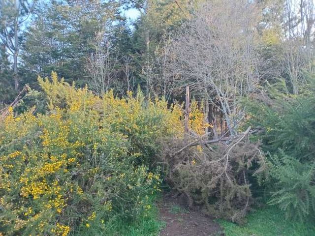 Se vende parcela de 6,51 hectáreas con casa urbanizada