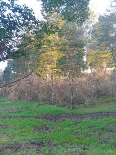 Se vende parcela de 6,51 hectáreas con casa urbanizada