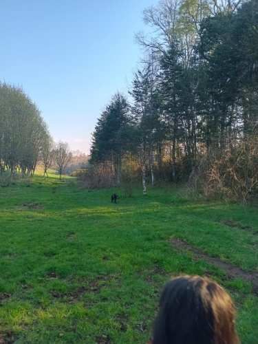 Se vende parcela de 6,51 hectáreas con casa urbanizada