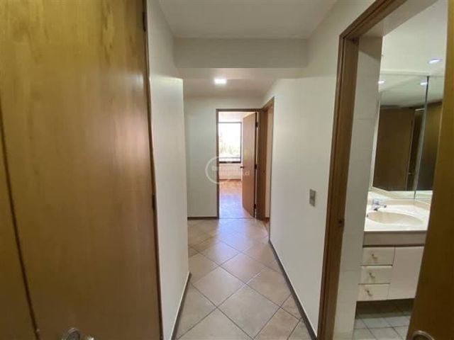 DEPARTAMENTO Luz / Av. Presidente Riesco